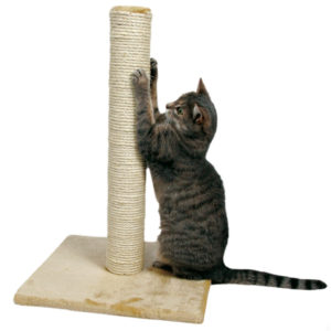 Когтеточка для котов и кошек своими руками: как сделать, инструкция, из чего делать