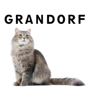 Корм для кошек Grandorf (Грандорф) – отзывы и советы ветеринаров