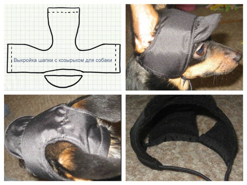 Выкройка шапки для собаки мелкой породы с ушами
