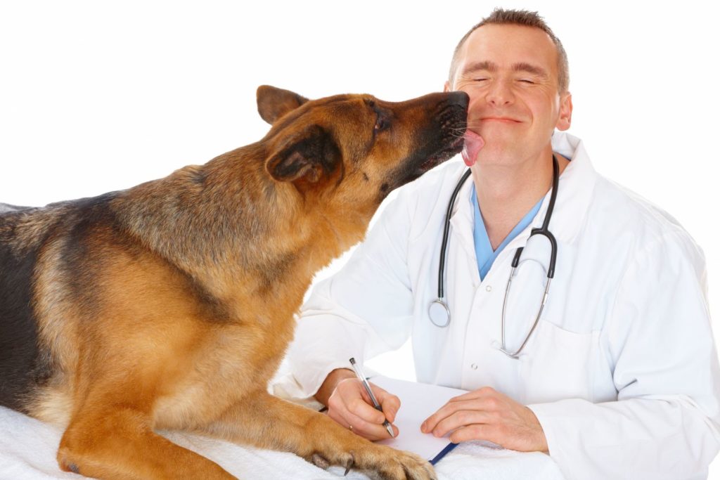 Посещение ветеринара
